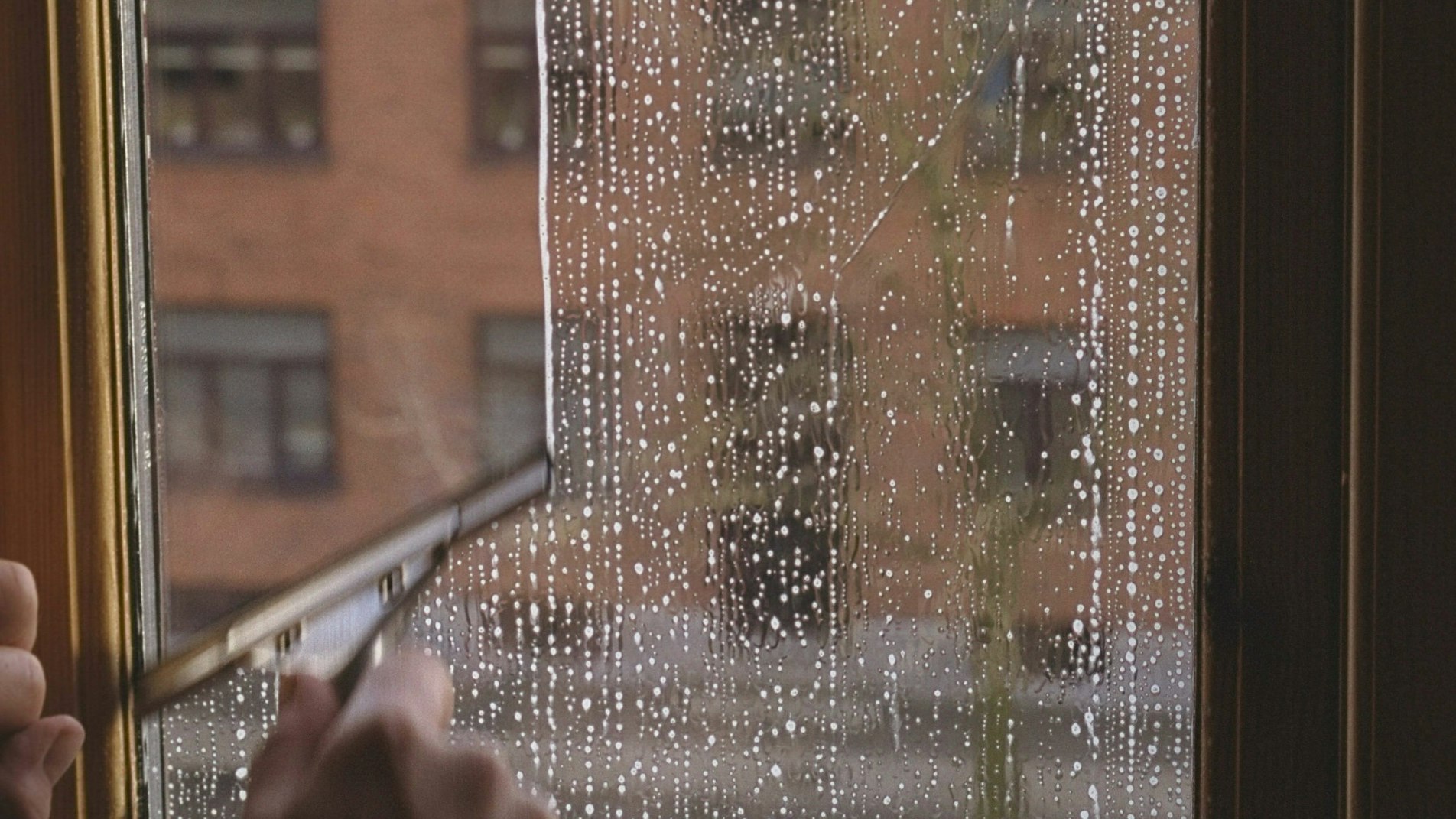 et eller andet sted Tredje apparat Undgå striber: Sådan vasker du dine vinduer - TV 2