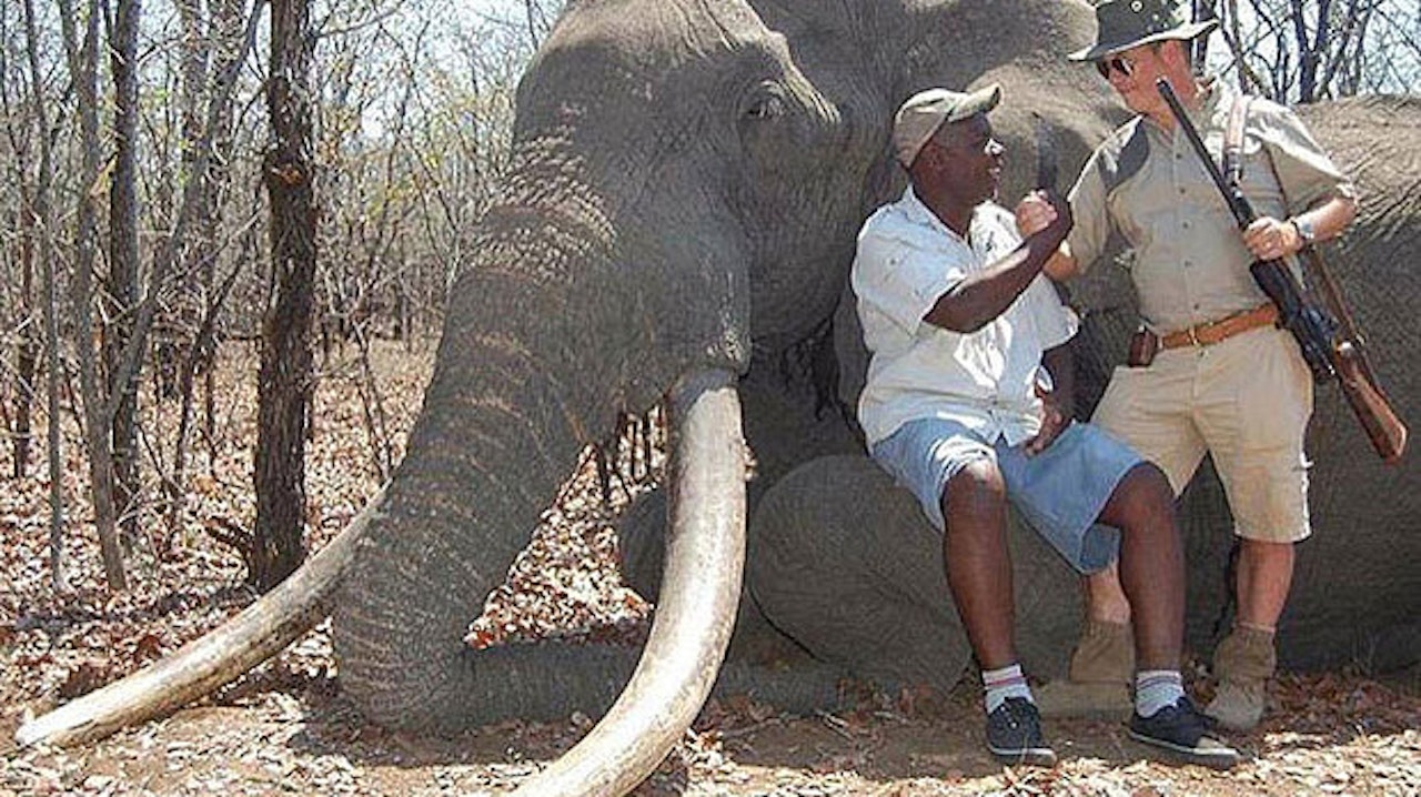 Jæger den største elefant i Afrika i 30 - TV 2