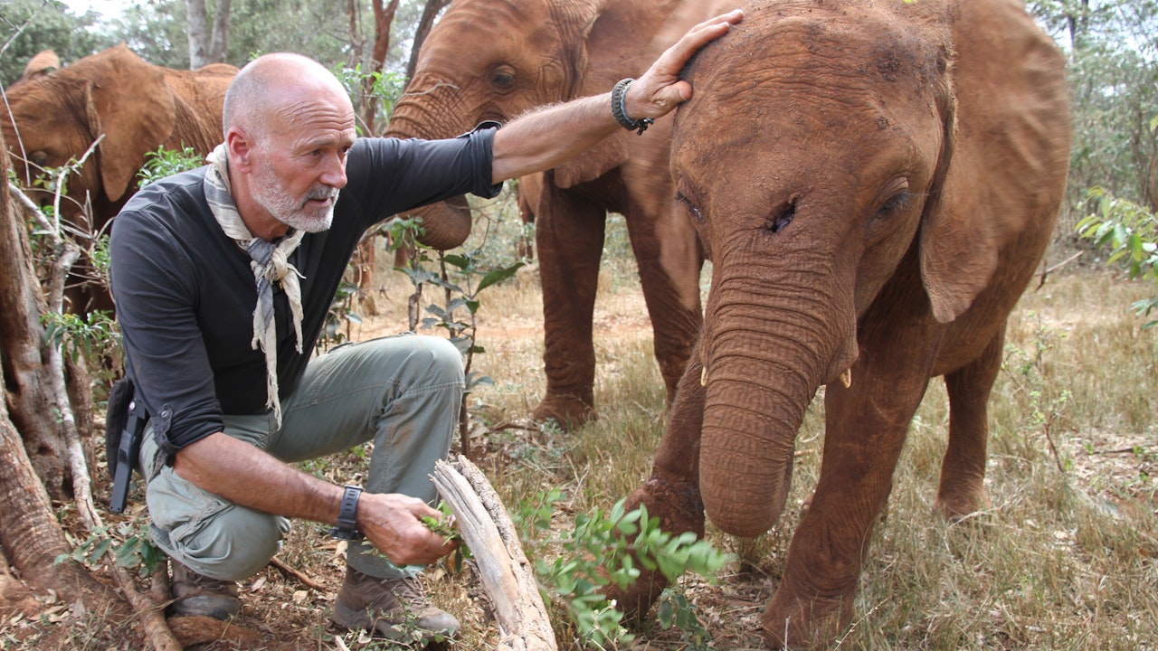 B.S. på elefantbørnehjem i Kenya: Det har en - TV 2